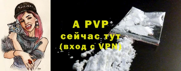 дживик Вязьма
