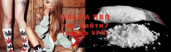 шишки Вязники