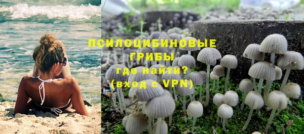 герыч Вяземский