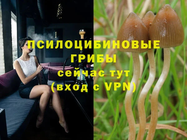 шишки Вязники