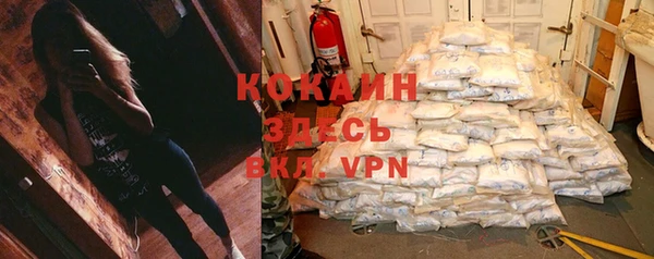 шишки Вязники