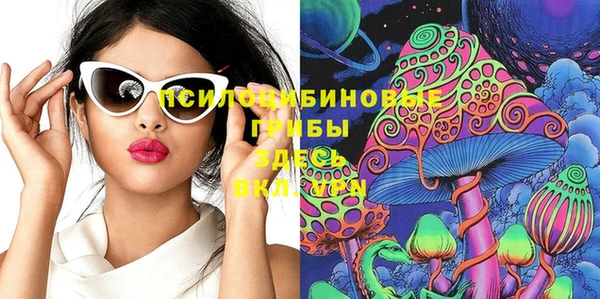 дживик Вязьма