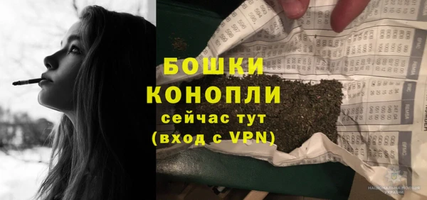 шишки Вязники