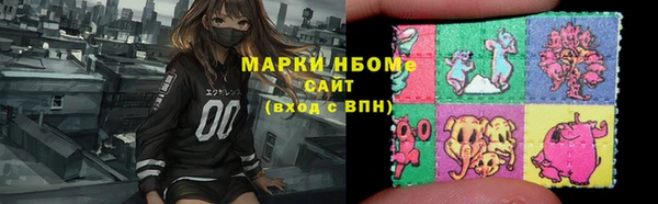 шишки Вязники