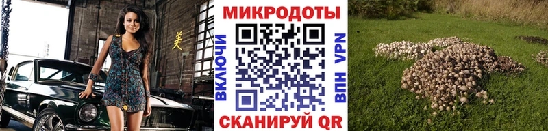 Псилоцибиновые грибы Magic Shrooms  МЕГА сайт  Ростов-на-Дону  продажа наркотиков 